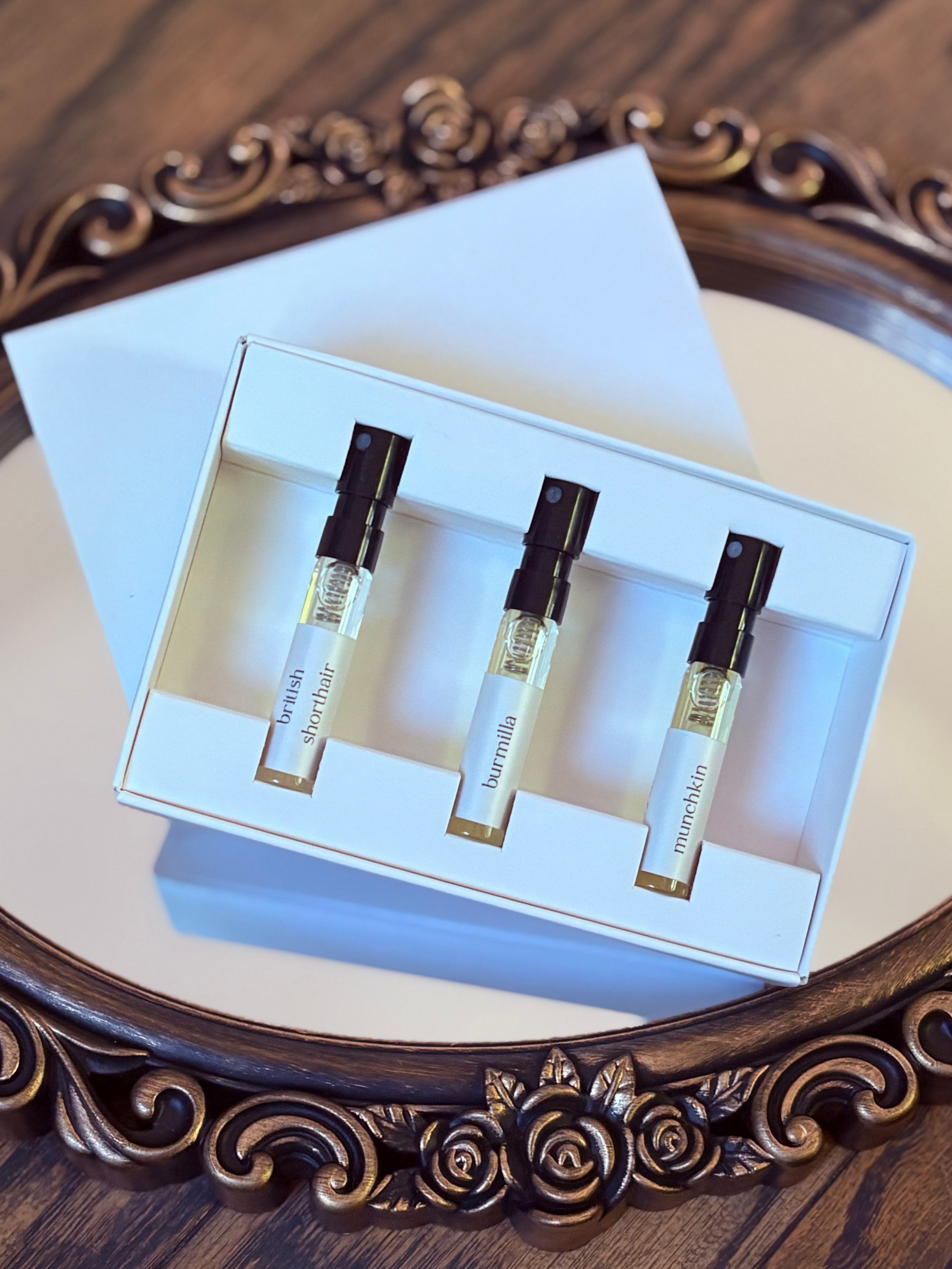 Discovery sample set including three samples named British shorthair, Burmilla, and munchkin