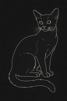 Abyssinian cat on black background 