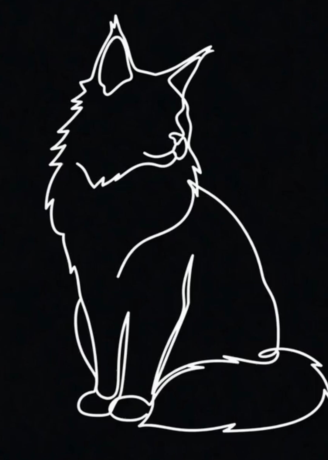 White line drawing of a cat on a black background
